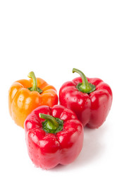 Similar image 1147611