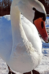 Similar image 1147673