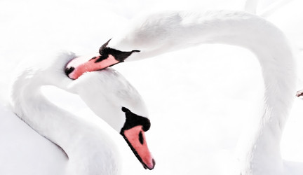 Similar image 1147674