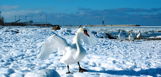 Similar image 1147675