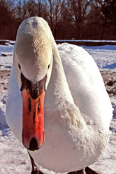 Similar image 1147678