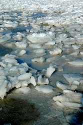 Similar image 1147680