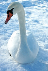 Similar image 1147685