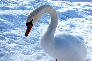 Similar image 1147686