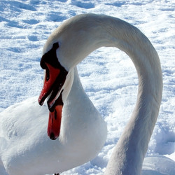 Similar image 1147687