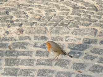 Similar image 1147691