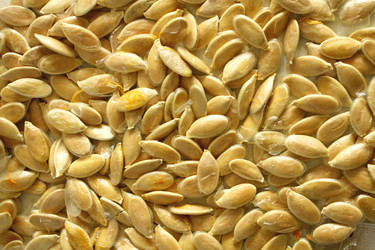 Similar image 1147721