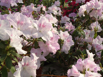 Similar image 1147750