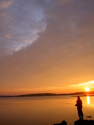 Similar image 1147762