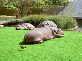 Similar image 1147764