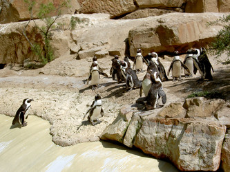 Similar image 1147765