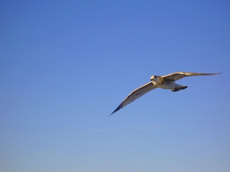 Similar image 1147769