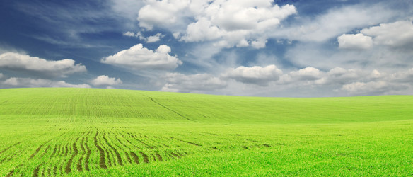 Similar image 1147970