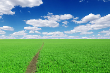 Similar image 1147976