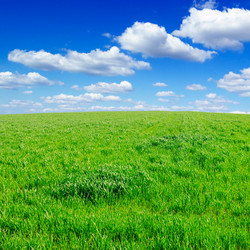 Similar image 1147978