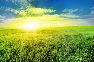 Similar image 1148027