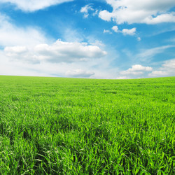 Similar image 1148051