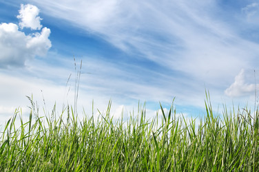 Similar image 1148055