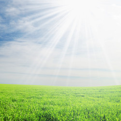 Similar image 1148060