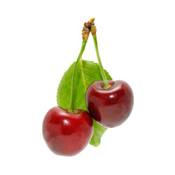 Similar image 1148061