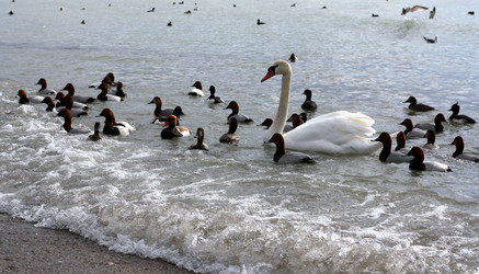 Similar image 1148195