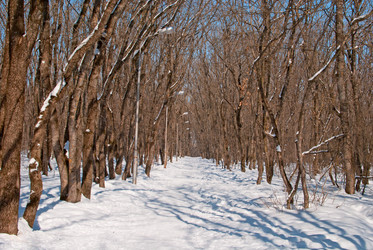 Similar image 1148205