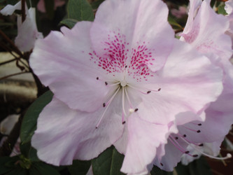 Similar image 1148208