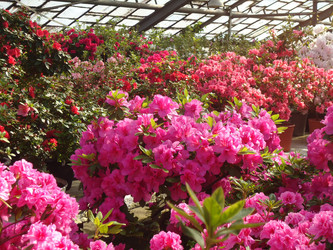 Similar image 1148209