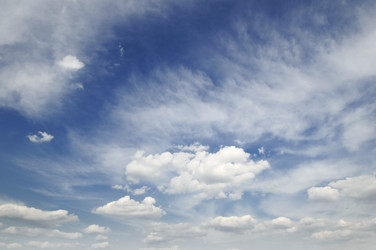 Similar image 1148263