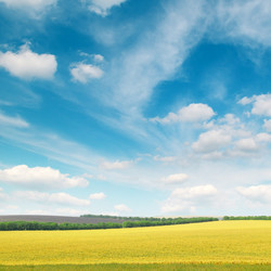 Similar image 1148264