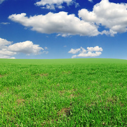 Similar image 1148272