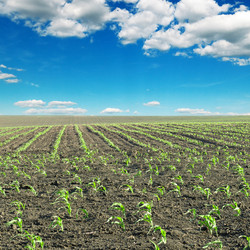 Similar image 1148275