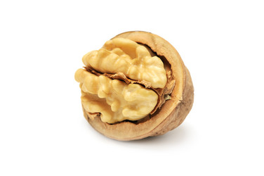 Similar image 1148283