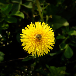 Similar image 1148292