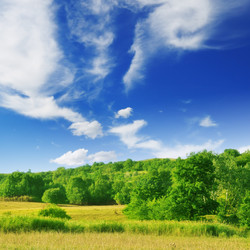 Similar image 1148308