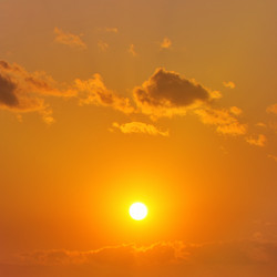 Similar image 1148310