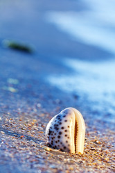 Similar image 1148318