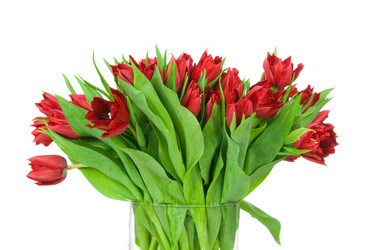 Similar image 1148319