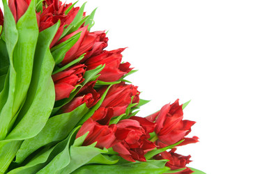 Similar image 1148321