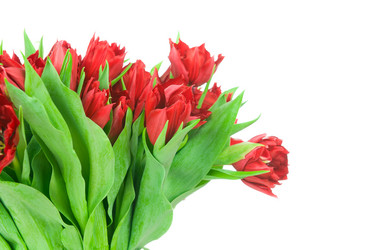 Similar image 1148322