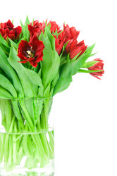 Similar image 1148324