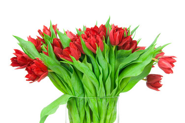 Similar image 1148325