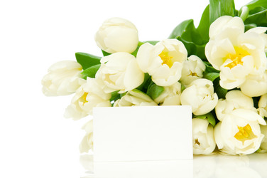 Similar image 1148327