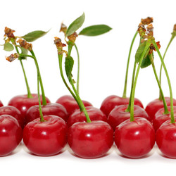 Similar image 1148330