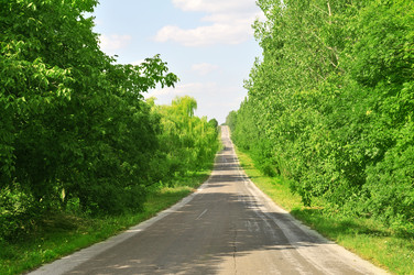 Similar image 1148332