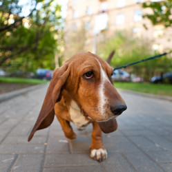 Similar image 1148342