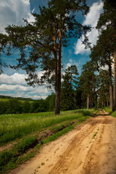 Similar image 1148344