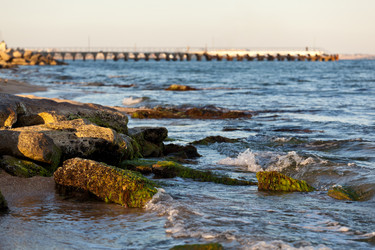 Similar image 1148348