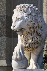 Similar image 1148400