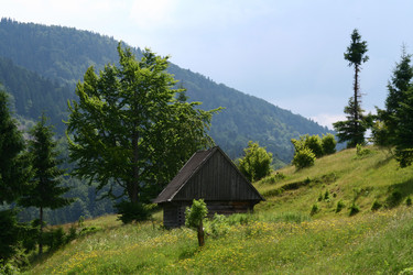 Similar image 1148403